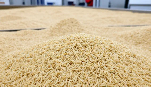 如何正确使用有机大米提升健康饮食?