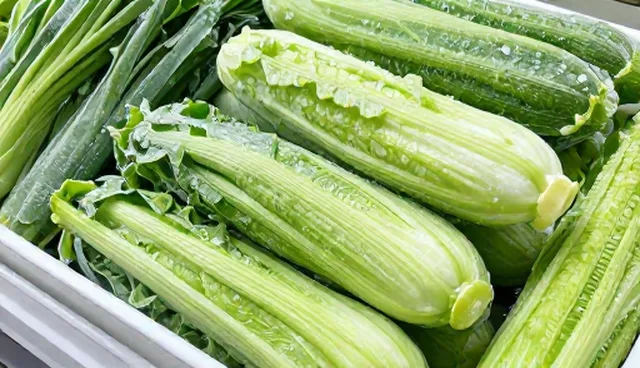 冷冻蔬菜加工中的种植技术指导与实际应用